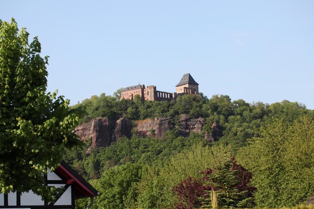 Bos En Kasteel Leilighet Nideggen Rom bilde