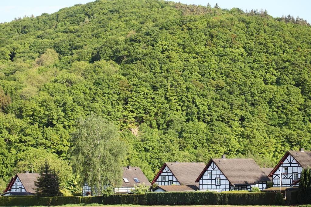 Bos En Kasteel Leilighet Nideggen Eksteriør bilde